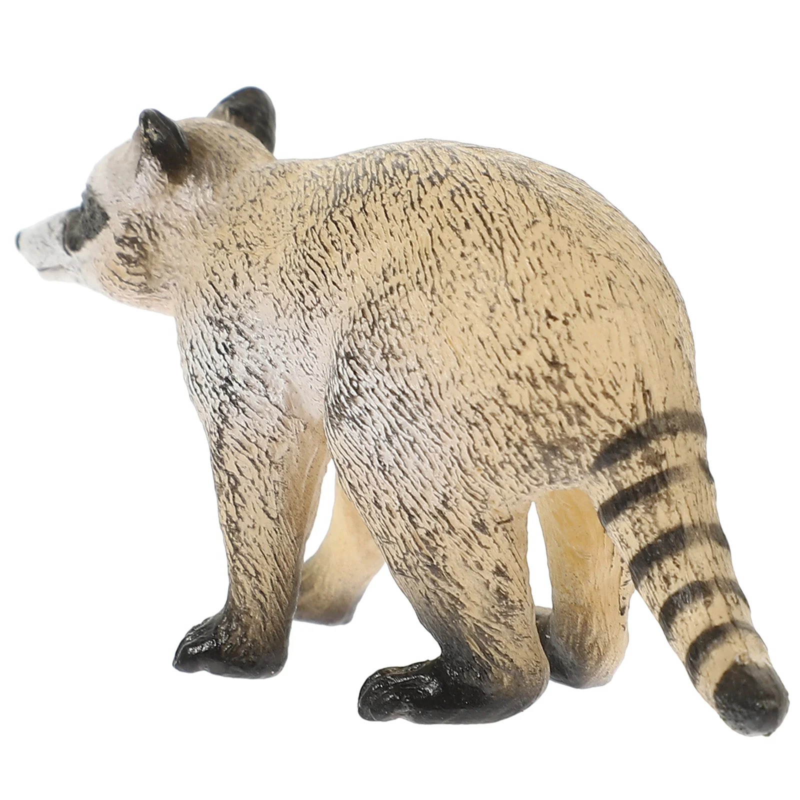 

Science and Education Simulation Wildlife Model Raccoon Cognitive Ornaments Figurine Animal Figure Plastic Animals Figures