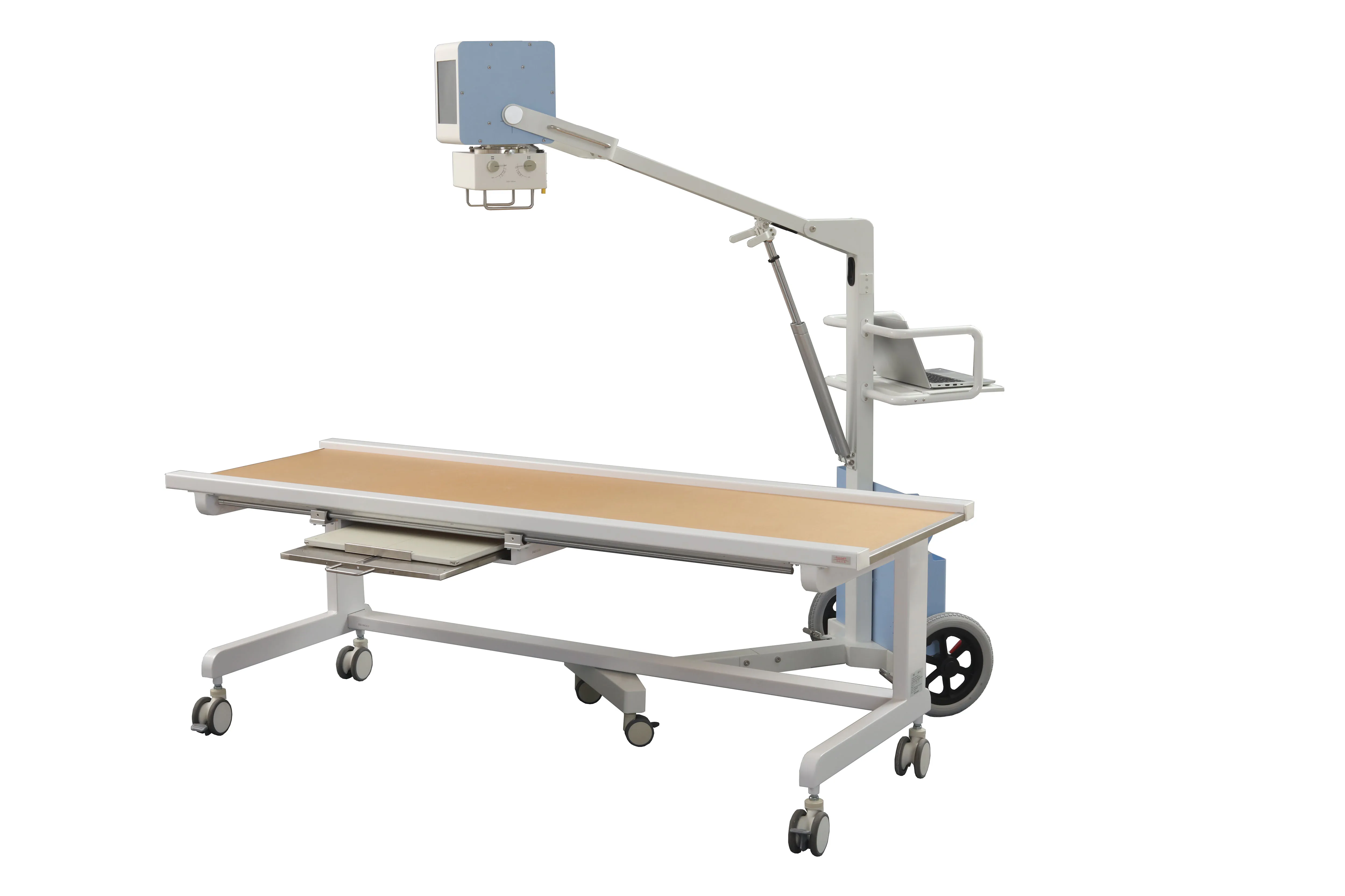 Professional Veterinary X-ray Unit Equipment Digital X-ray Fluoroscopy Veterinary Dog X-ray Machine