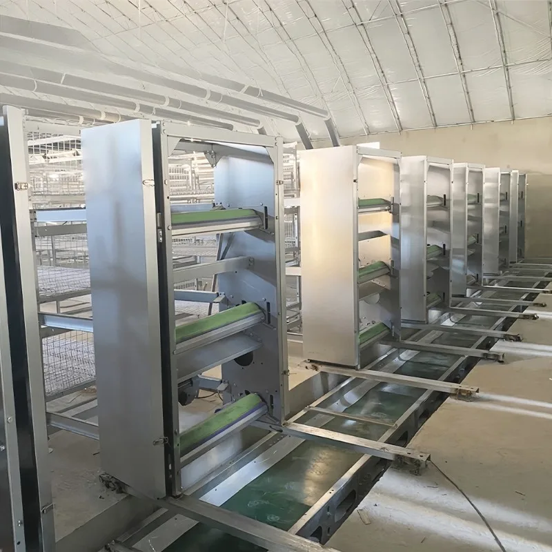 High Efficiency Automatic Manure Handling Equipment for Chicken Poultry House