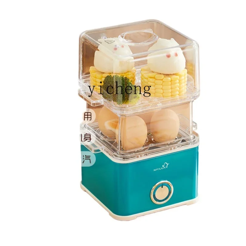 Egg Boiler Automatic Power off Household Small Multifunctional Tool Mini Steam Eggs