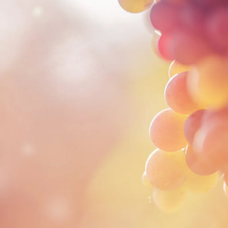 

1/10 RC Crawler 1.9 Beadlock Wheels Tires Height Soft for Trxs TRX4 Axial SCX10 II III Redcat Gen 8 Rocks Mud