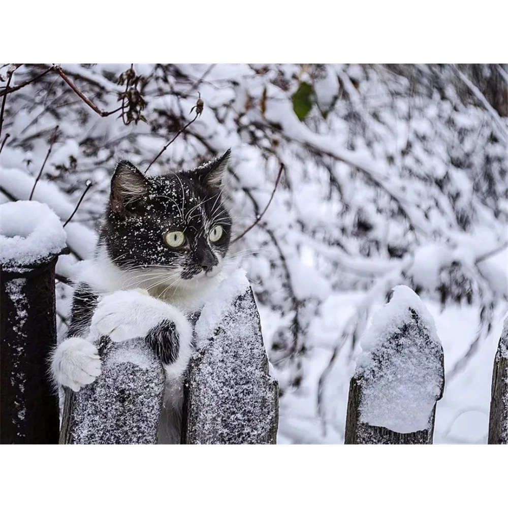 

Кошка, зима, холст с принтом животных, 11CT, набор для вышивки крестом, нитки DMC, ручная работа, шитье, живопись, ремесло для ювелирных изделий