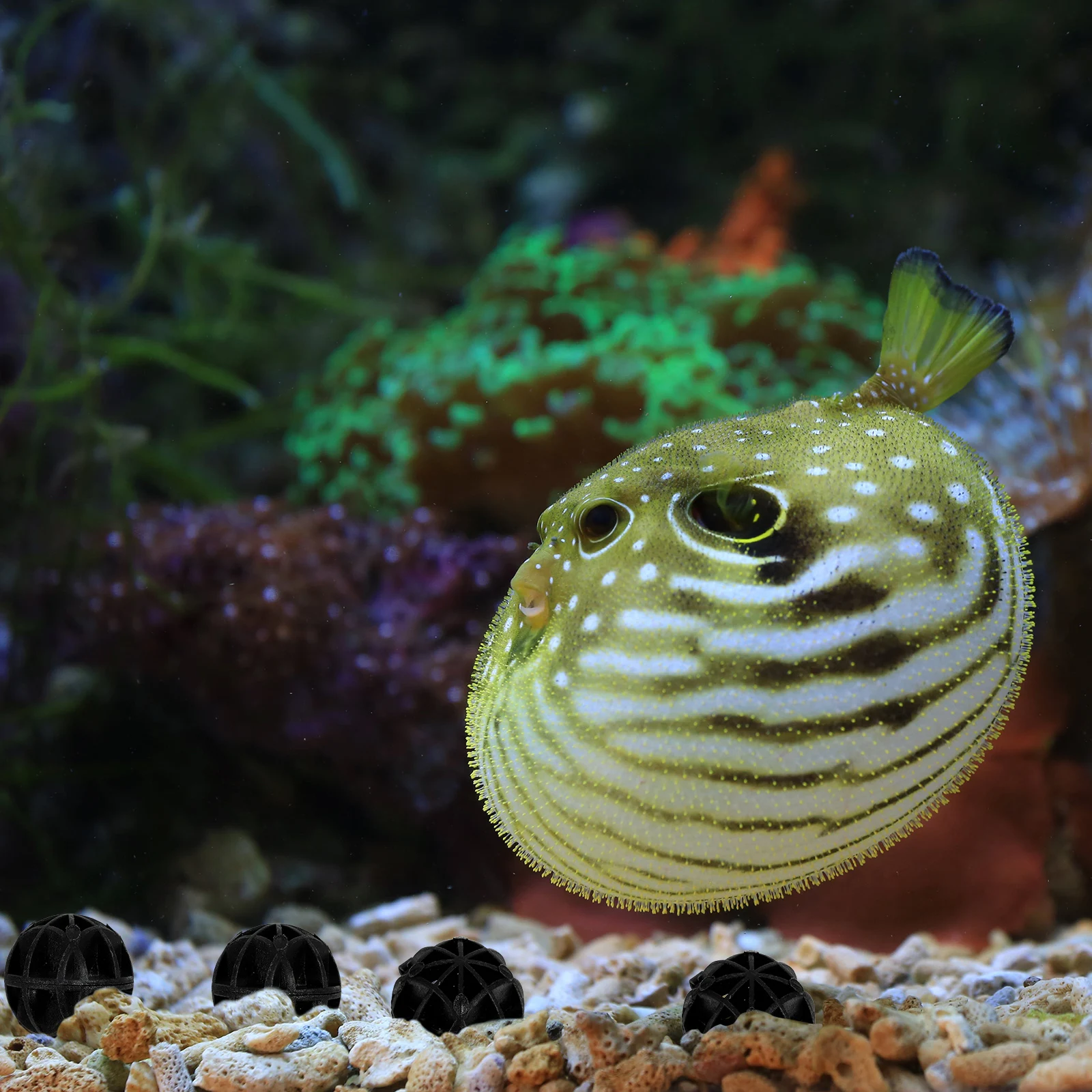 

100Pcs 36Mm Biological Balls Aquarium Filter Bed Bio Media for Fish Tank Pond Water Clarifier Beneficial Bacteria Growth