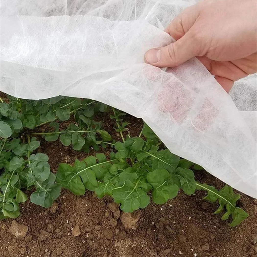 Winter Garden Plant Cover 4