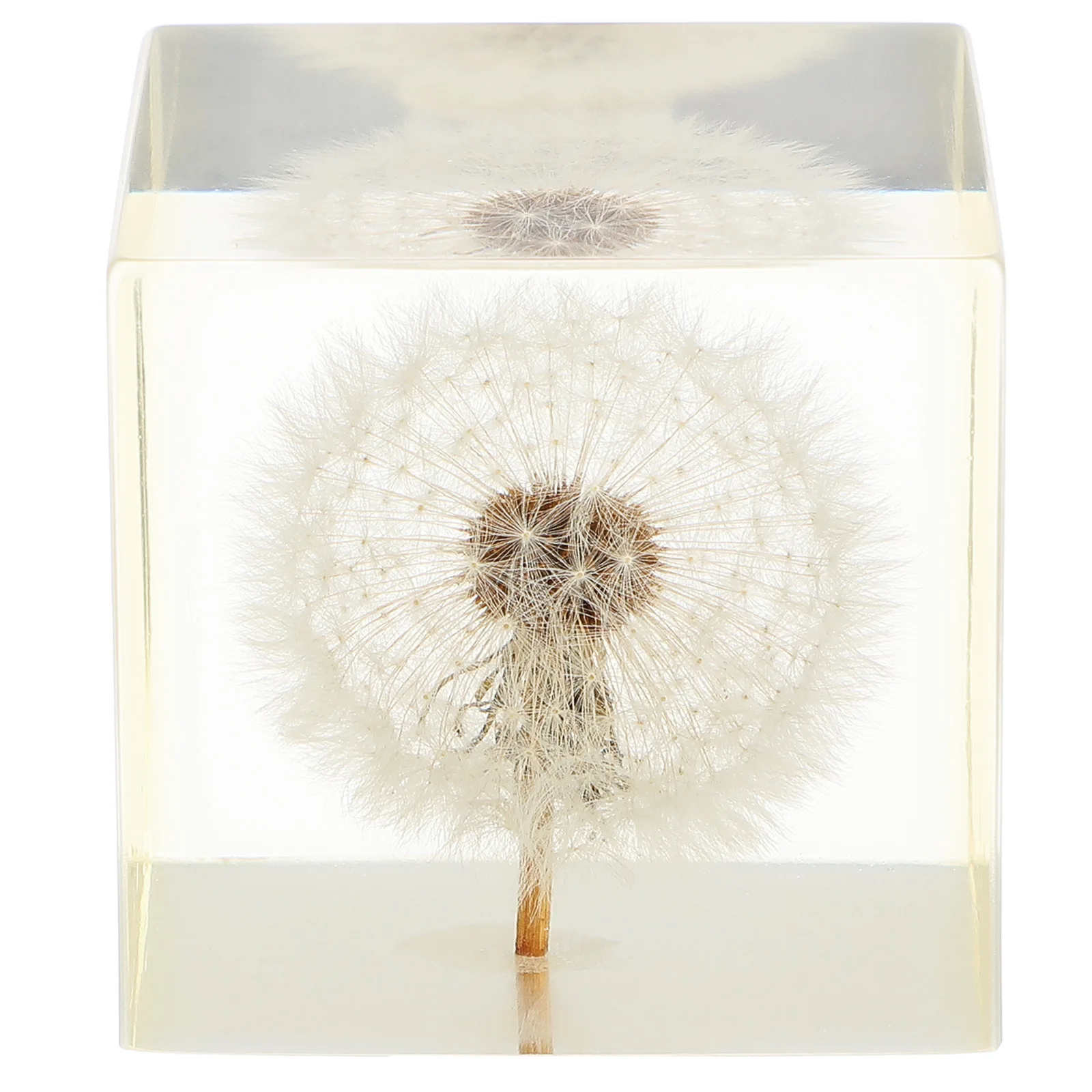 Ornamen Kubus Dandelion Bola Kristal Transparan Dekorasi Meja Kerajinan Kreatif untuk Hadiah Rumah Kantor Ornamen Kubus Dandelion
