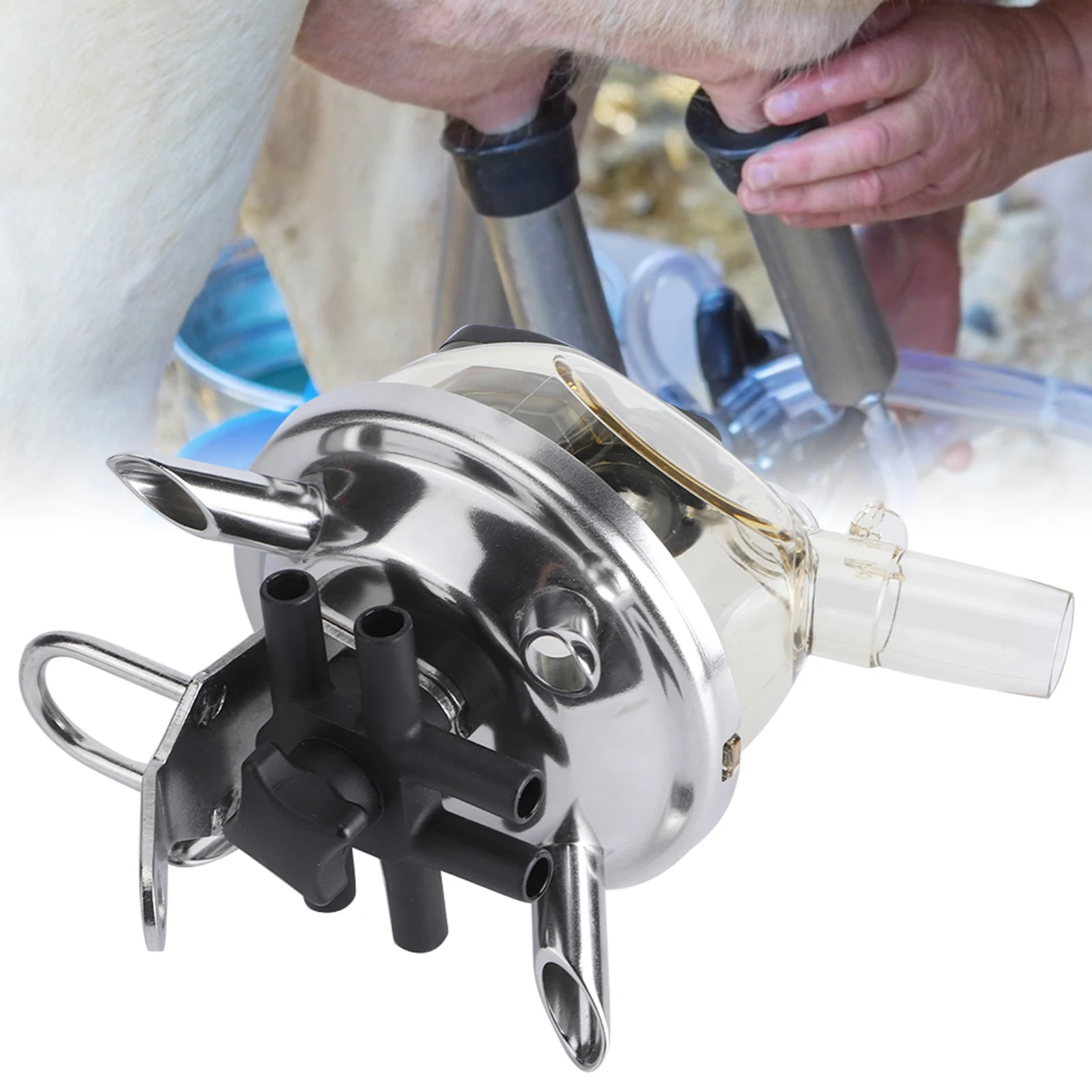 Cow Milk Machine Accessories 300cc Milking Claw Milking Collector Without Valve For Cow Goat