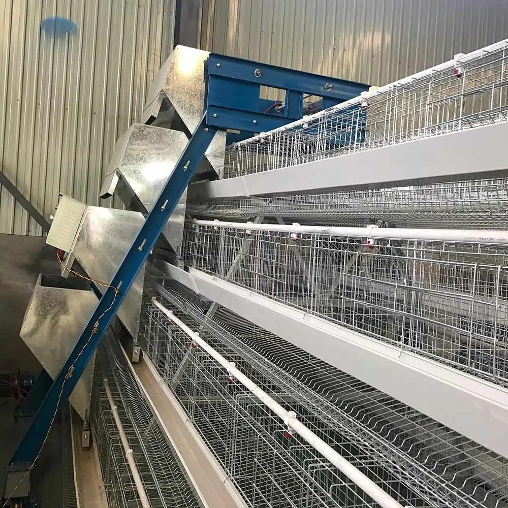 Poultry Farm House a Type Layer Galvanized Welded Wire Mesh Egg Chicken Cage