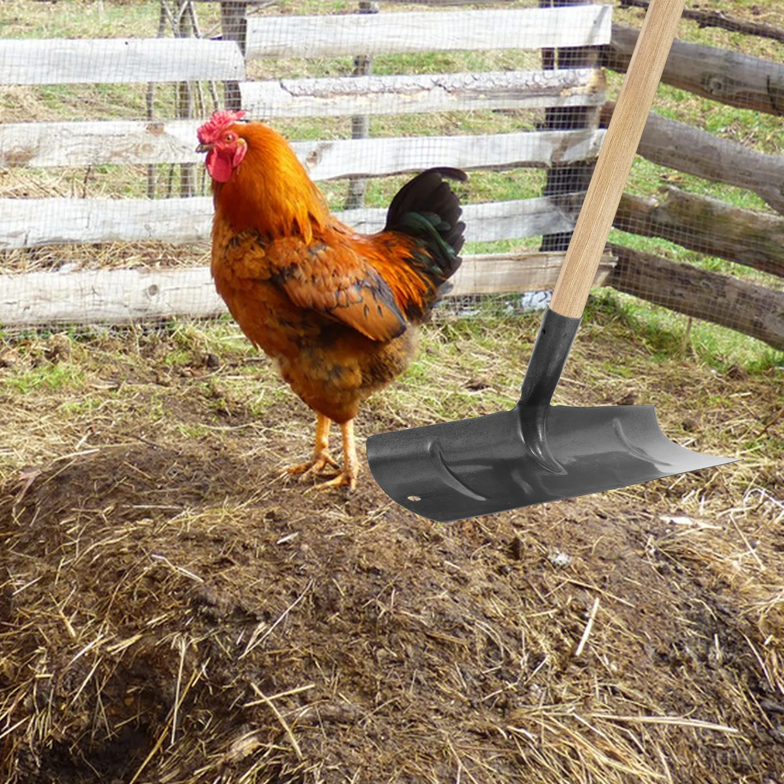 

Pigeon Dung Rake Manure Shovel Farm Cleaning Tool Flat Farmhouse Supply Poultry Durable Metal Efficient Portable Scraper Board