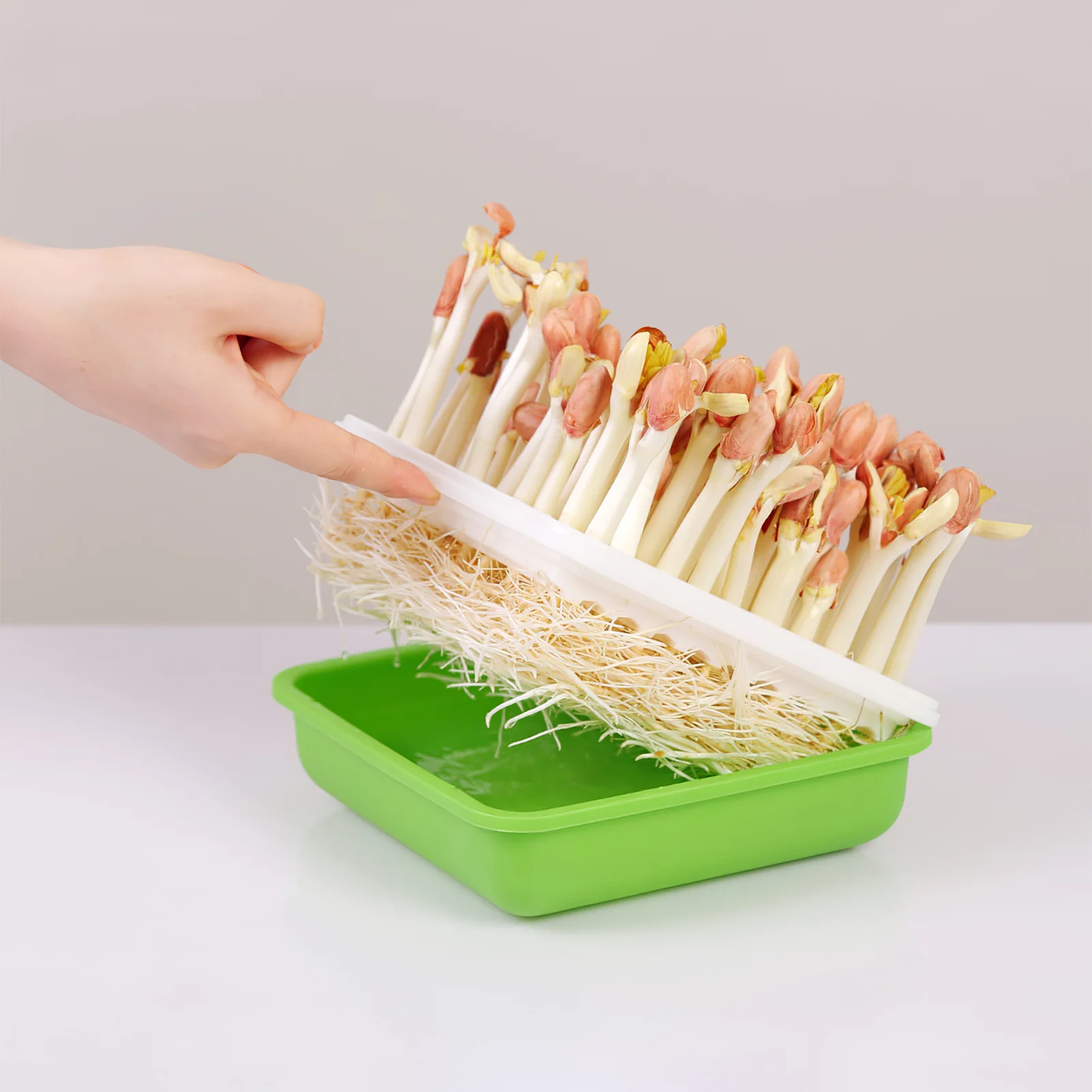 

1 Set Peanut Sprout Hydroponic Box Large Capacity For Seed Germination Plant Nursery Tray Plastic Growing Trays Propagation Kit