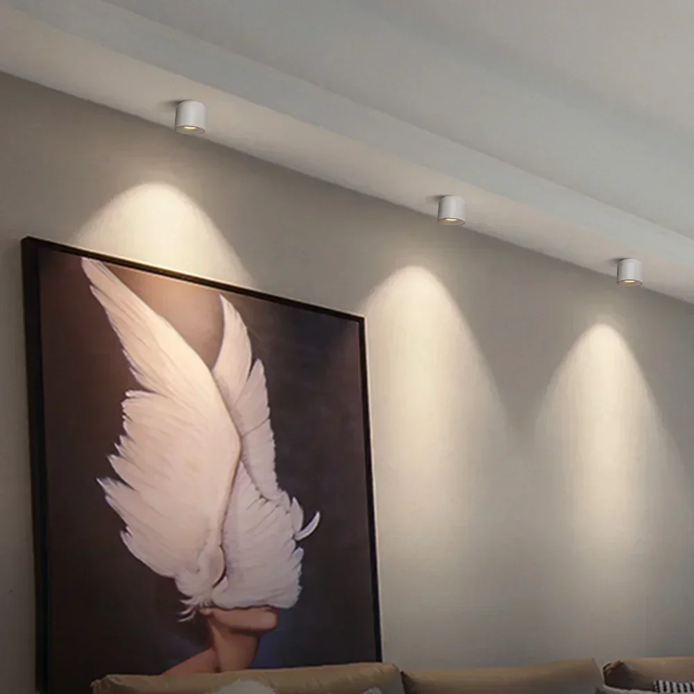 

Surface Mounted Spot Light for Living Room, LED Ceiling Light Bedroom, Kitchen, Corridor Ceiling Lamp AC 90v-260v