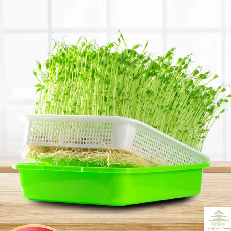 Self Draining Soilless Sprout Tray – 1pc Portable Hydroponic Seedling Tray for Cat Grass, Bean Sprouts, Balcony