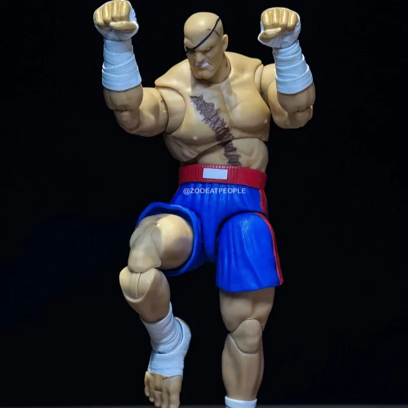 1/12 Jada Toys Blanka Sagat Vega Street Fighter Wave 4 Anime colección de figuras de acción modelo estatua muñeca chico juguete regalos personalizados