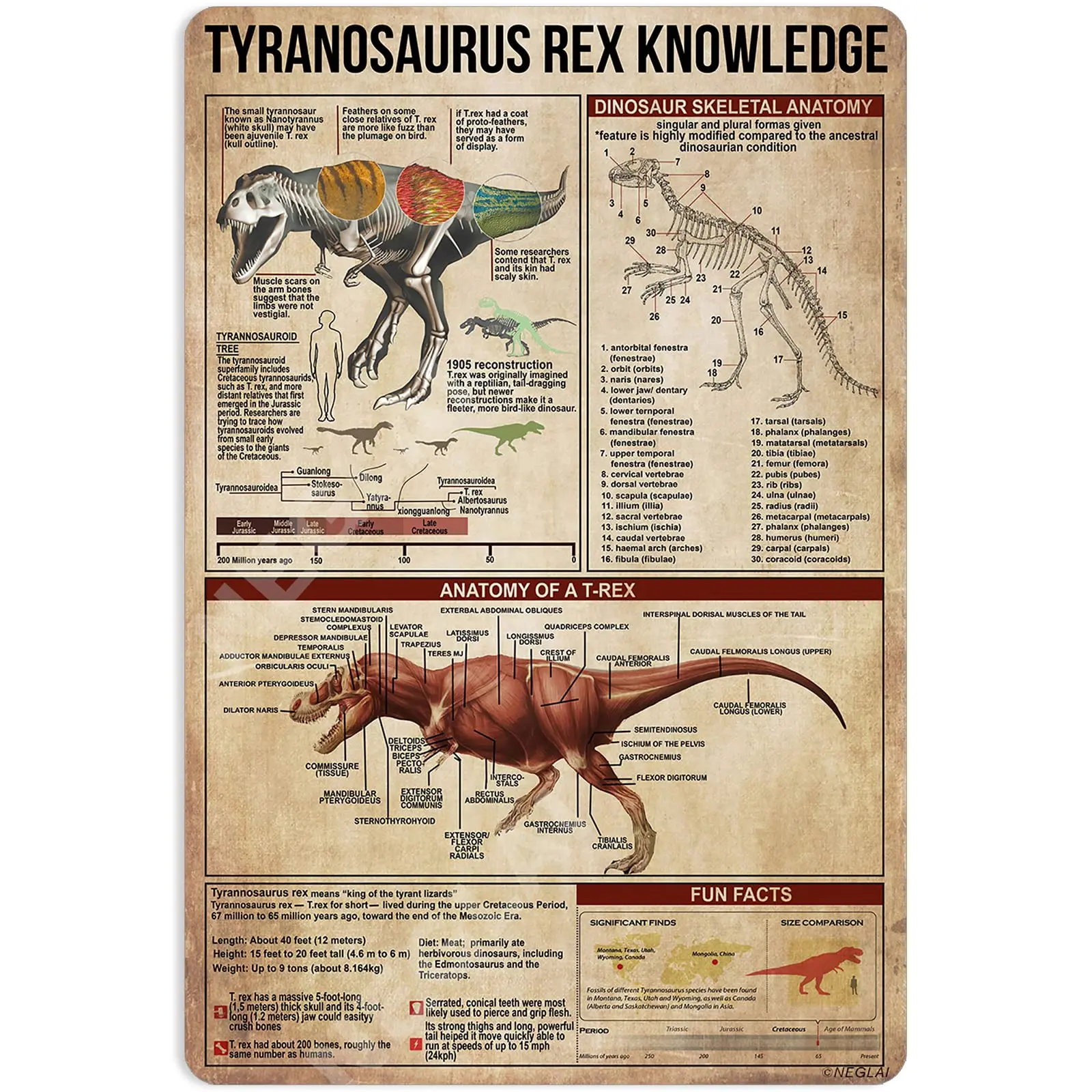 Tyrannosaurus Rex Knowledge Tin Sign Vintage Decor Dinosaur Wall Poster for Boys Room bedroom Decorations Gifts for Kids Metal S