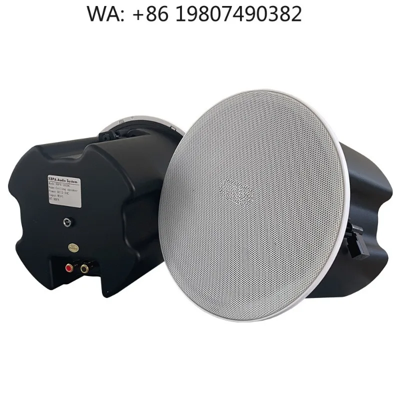 Multi Room Hifi Ceiling Speaker Bluetooth Wifi APP Control Multi Channel Powered Stereo Home Audio System