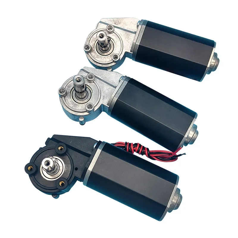 Micro DC Motor, Worm Geared Motor, Affordable Price, Silent Self-Locking Motor 24V