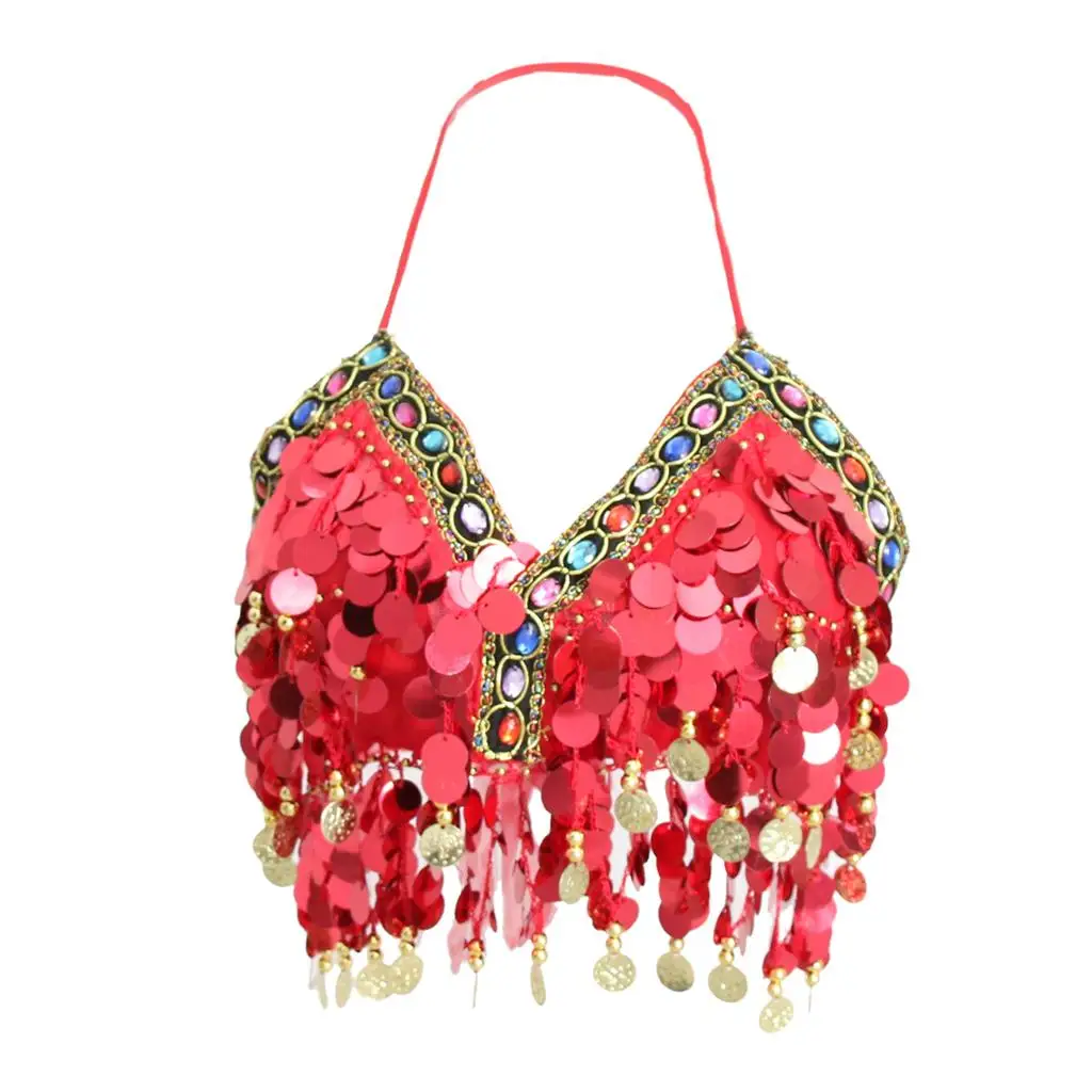 Belly Dance Beaded Bra Fringe Tassel Sequin Chiffon Top Stage Performance Costume for Indian Dancer and Singer