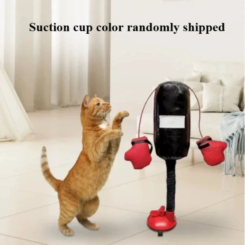 Thumbnail 2 - #17 Compare Boxing Gloves & Mitts Before You Buy