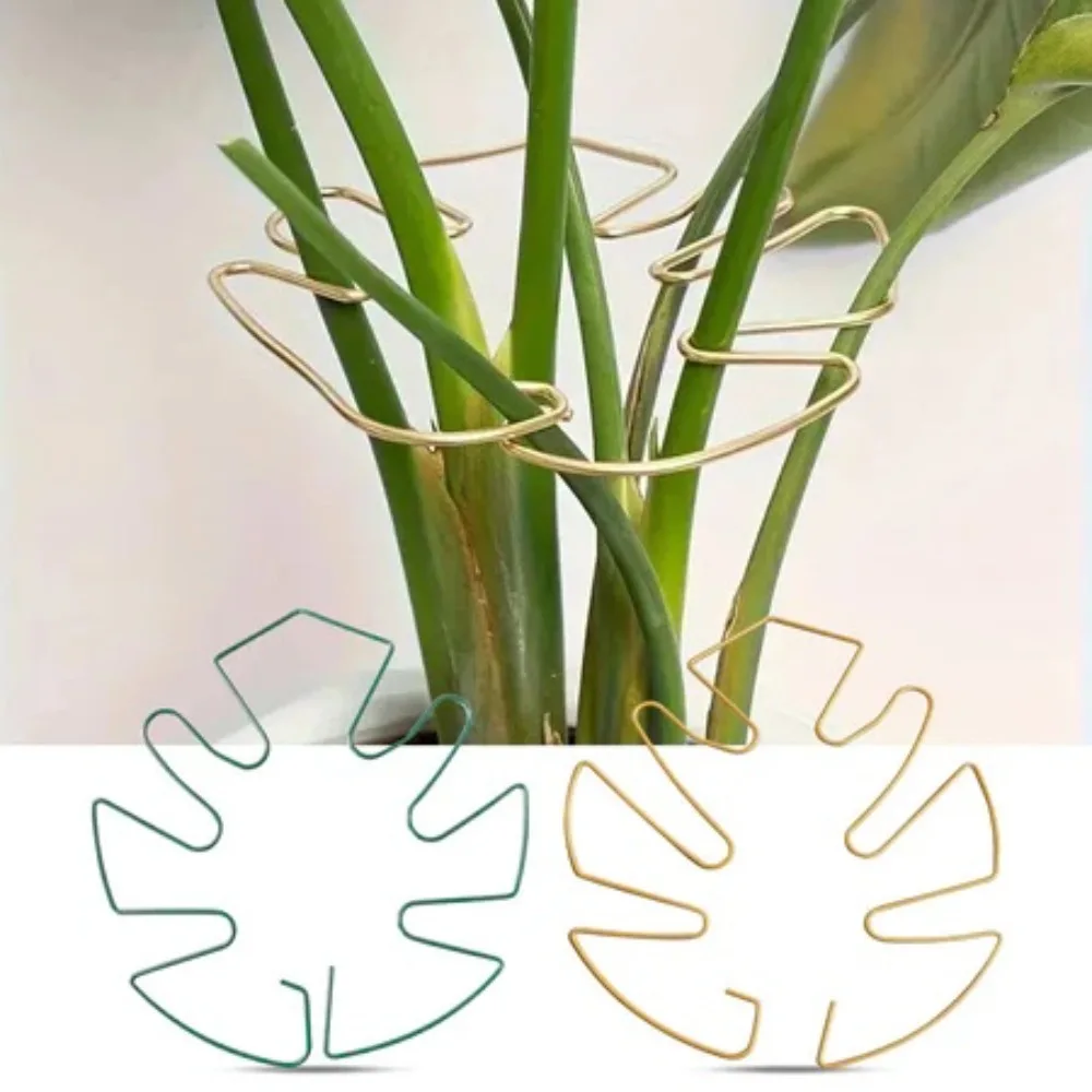 2X Large Suspended Fixed Iron Hook Plant Rack Green Plant Anti Fall Bracket Suitable for Indoor Outdoor in Flower Pot Decoration