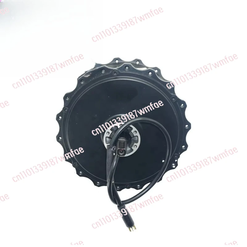motor 159.8 60H 1000W 48v to 72v brushless hub motor with waterproof disc brake permanent magnet construction