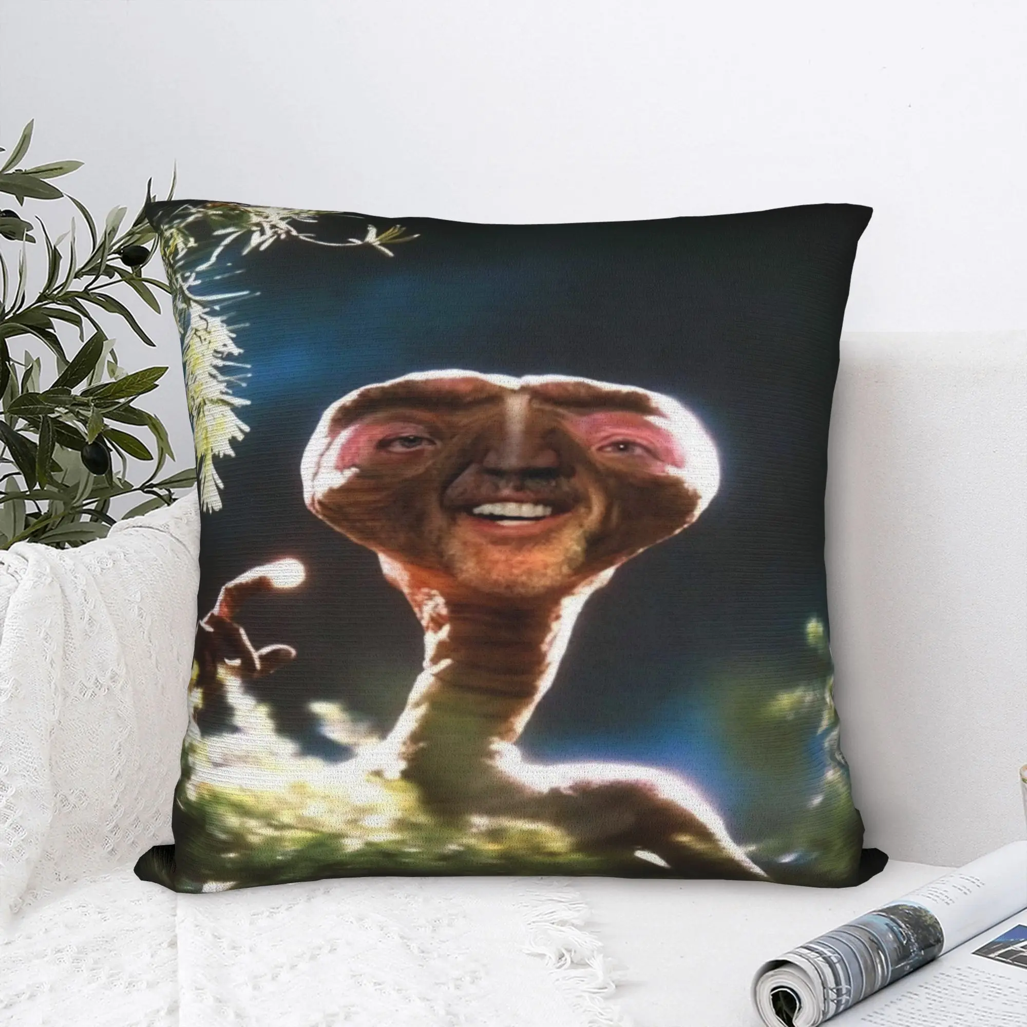 Soft and Sweet Seat Nicolas Cage Decor Pillowcase Stuff  Pillow Cover Square Multiple Sizes