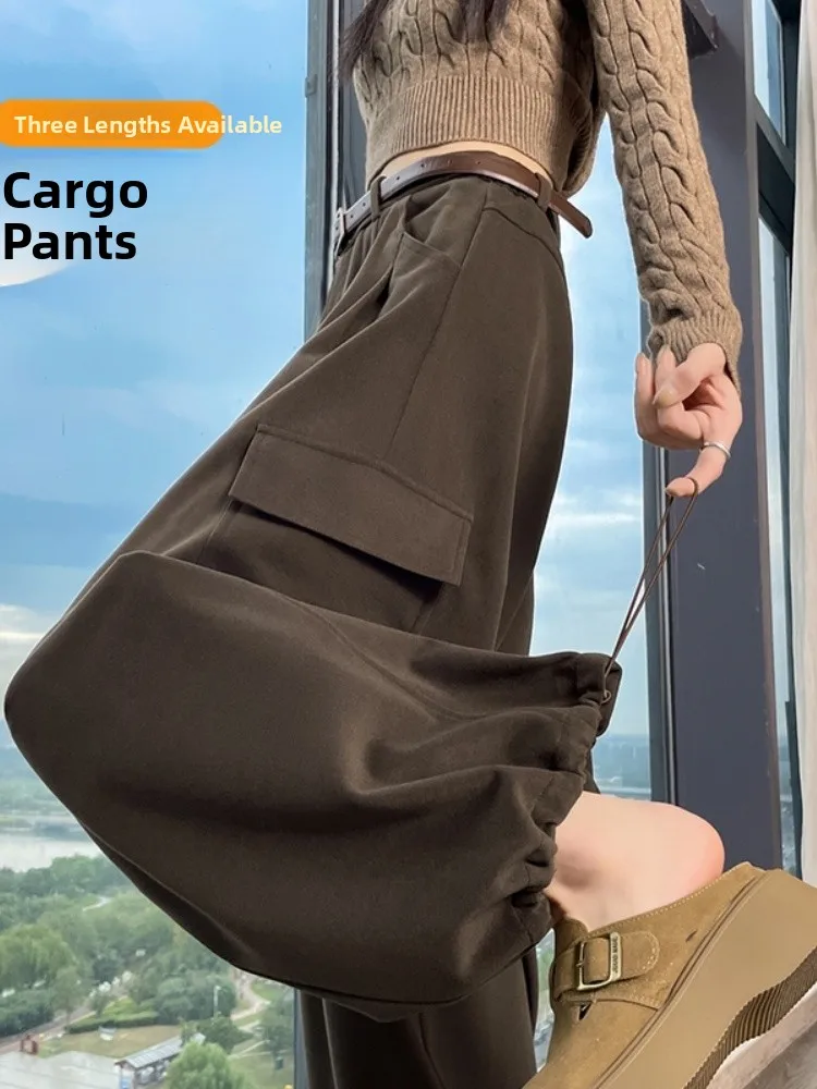 ay Fce Lined Casual Work Pants Women High Waist Straight Leg Commute Sle ket Detail No Ironing Required