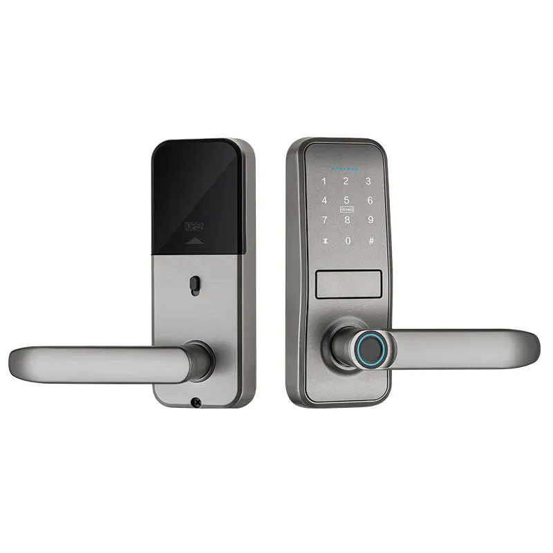 

Hot-selling American version of dumb lock password swipe card automatic locking smart wooden door lock graffiti smart password