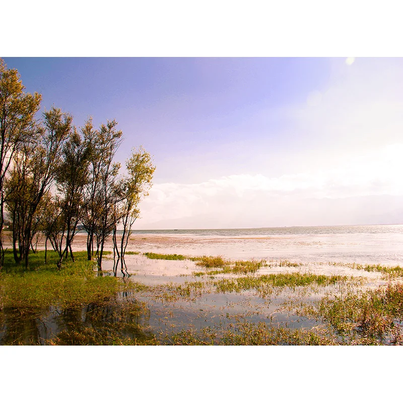 ZHISUXI Vinyl Custom Photography Backdrops Brick Wall and floor Scenery Theme Photo Studio Background 210116 WL-01