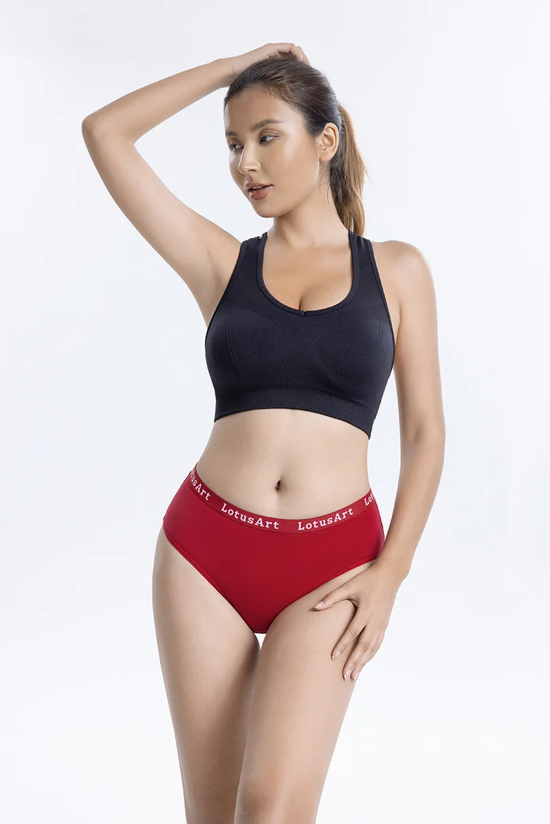 Plus Size Women's Cotton Briefs  Mid Rise  High Waisted Underwear Summer Comfort  Wholesale