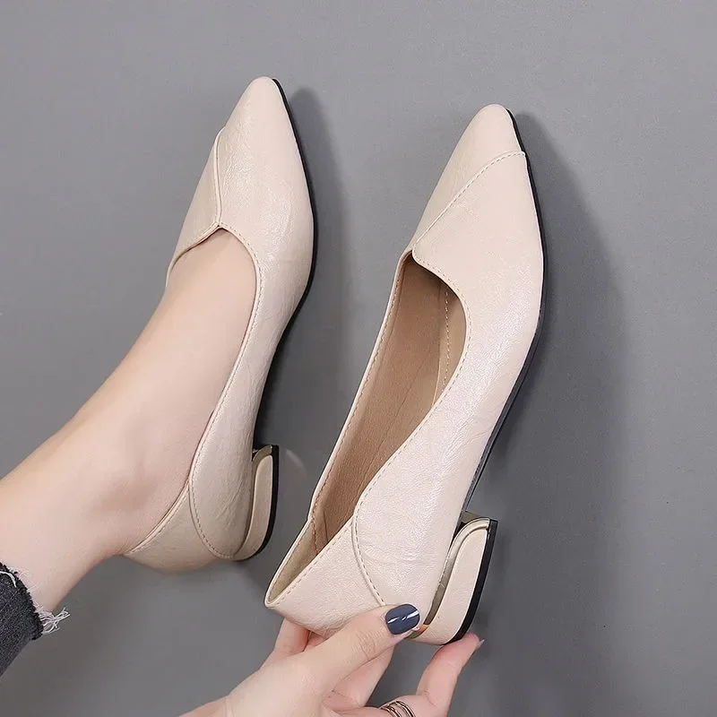 2022 Spring and Fall New Mid-heel Pointed Work Shoes Casual Women\'s Shoes