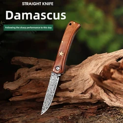 Damascus Steel Kitchen Sharp Fruit Knife Meat Eating Mini Folding Knife Camping Survival Portable Special