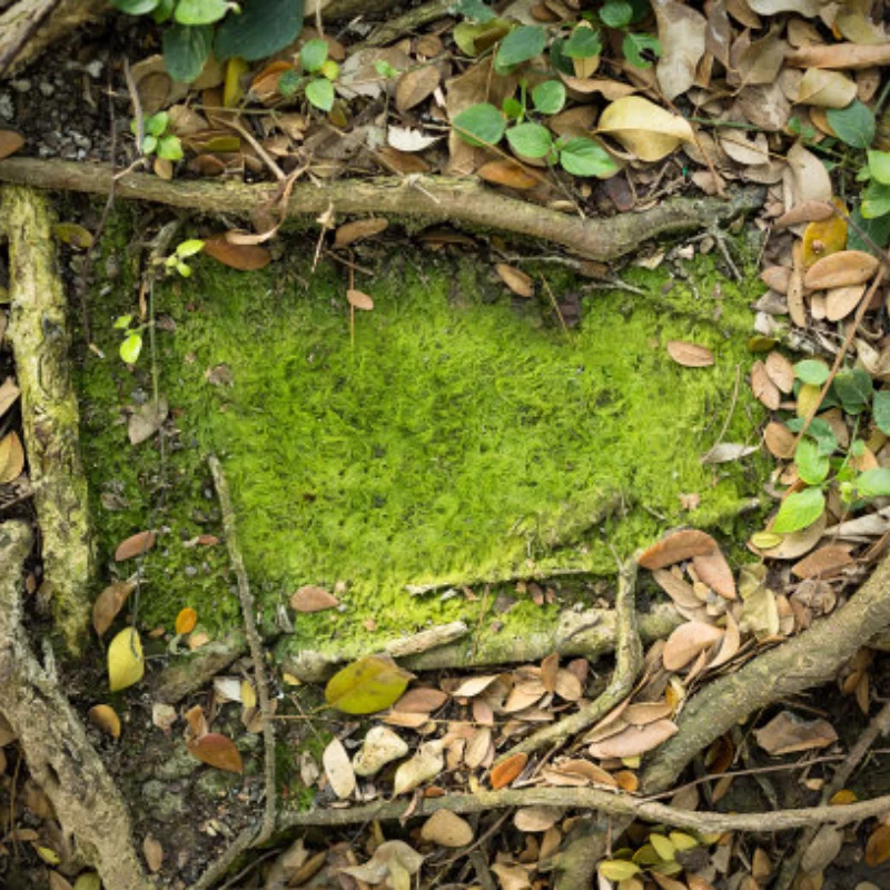 

4 шт. 1,9-дюймовые колеса с бусинами, алюминиевые диски, модернизация для осевого SCX10 TRX4 90046 RC Crawler, автомобильные аксессуары