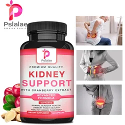 Kidney Support Supplements - Urinary Tract Support, Bladder Support and Kidney Health Supplements