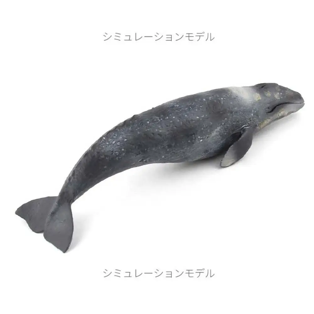 Simulation Marine Animal Model Sperm Whale Ocean Animals Whale Figurines Solid PVC Educational Sea Life Figure Home Decor