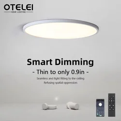 Modern LED ceiling light remote control APP dimming home light bedroom living room kitchen ultra-thin intelligent ceiling light