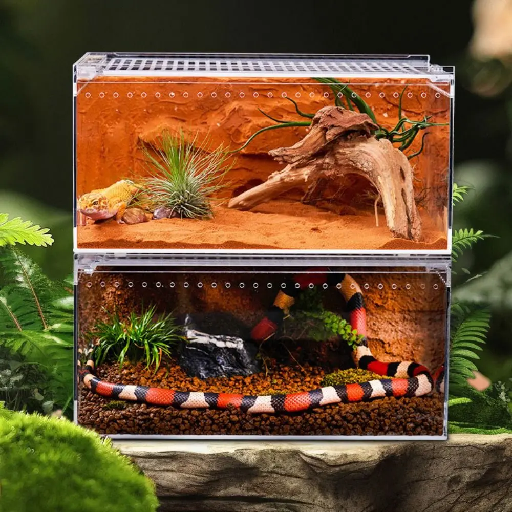 Transparente Reptilien-Zuchtbox, atmungsaktiv, verhindert Flucht, Eidechsen-Fütterungskäfig, Acryl mit Löchern, Spinnen-Futterbox