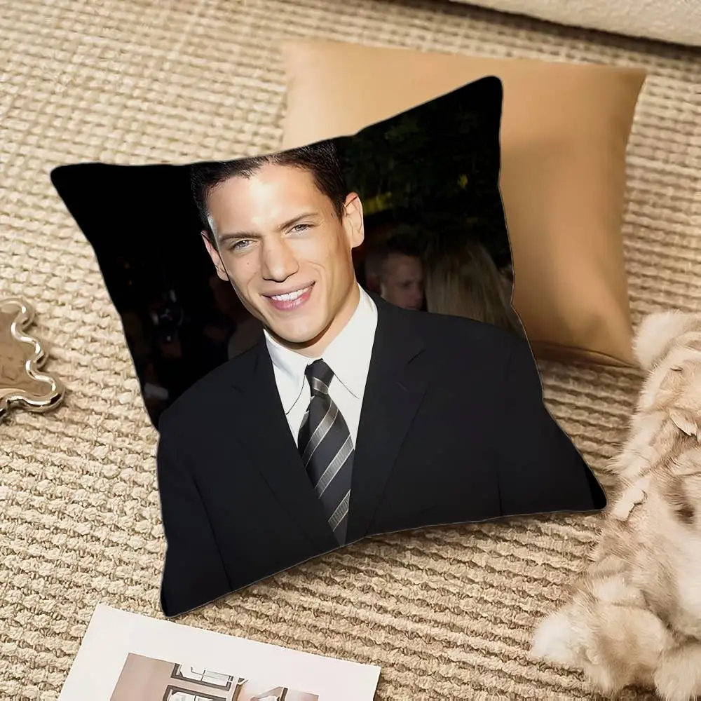 

W-Wentworth M-Miller Pillow Case Anti-dustmite Pillowcase Invisible zipper silky plush Sofa