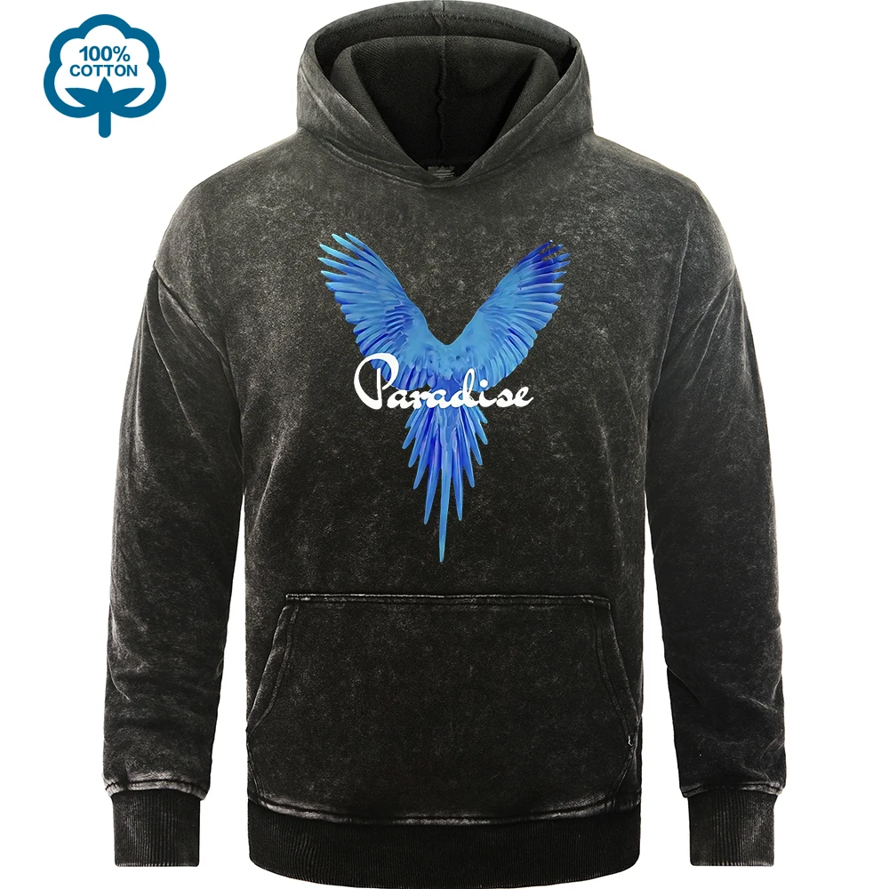 A Giant Bird With Blue Wings Print Washed Hoody Men Hip Hop Cotton Hoodies Casual Oversized Pullovers Autumn Pocket Sportswear