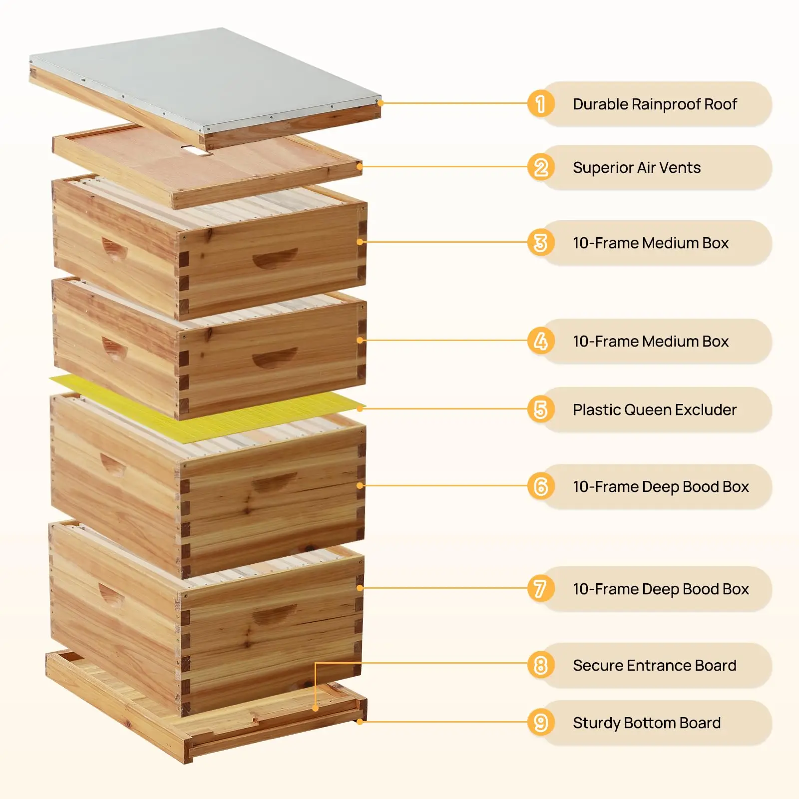 Free Shipping10-Fe Stroth Hive Coated With 100% Swax Includes Hivs And Foundations (2 Deep Boxes & 2 Medium Boxes)