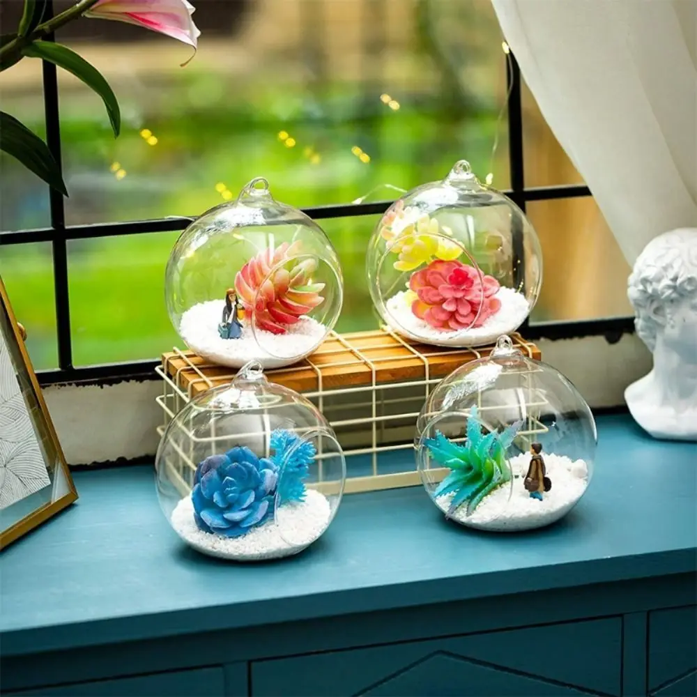 Transparent Hanging Glass Vases Clear Ball Succulents Plant Ball Container 6/8/10/12/15cm Borosilicate Glass Glass Planter Moss