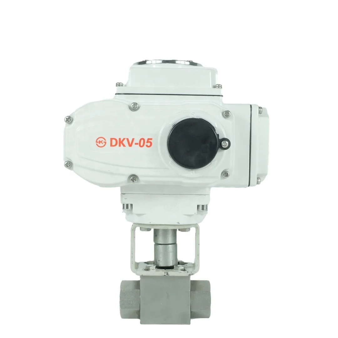 Dkv 3000 Psi High P…