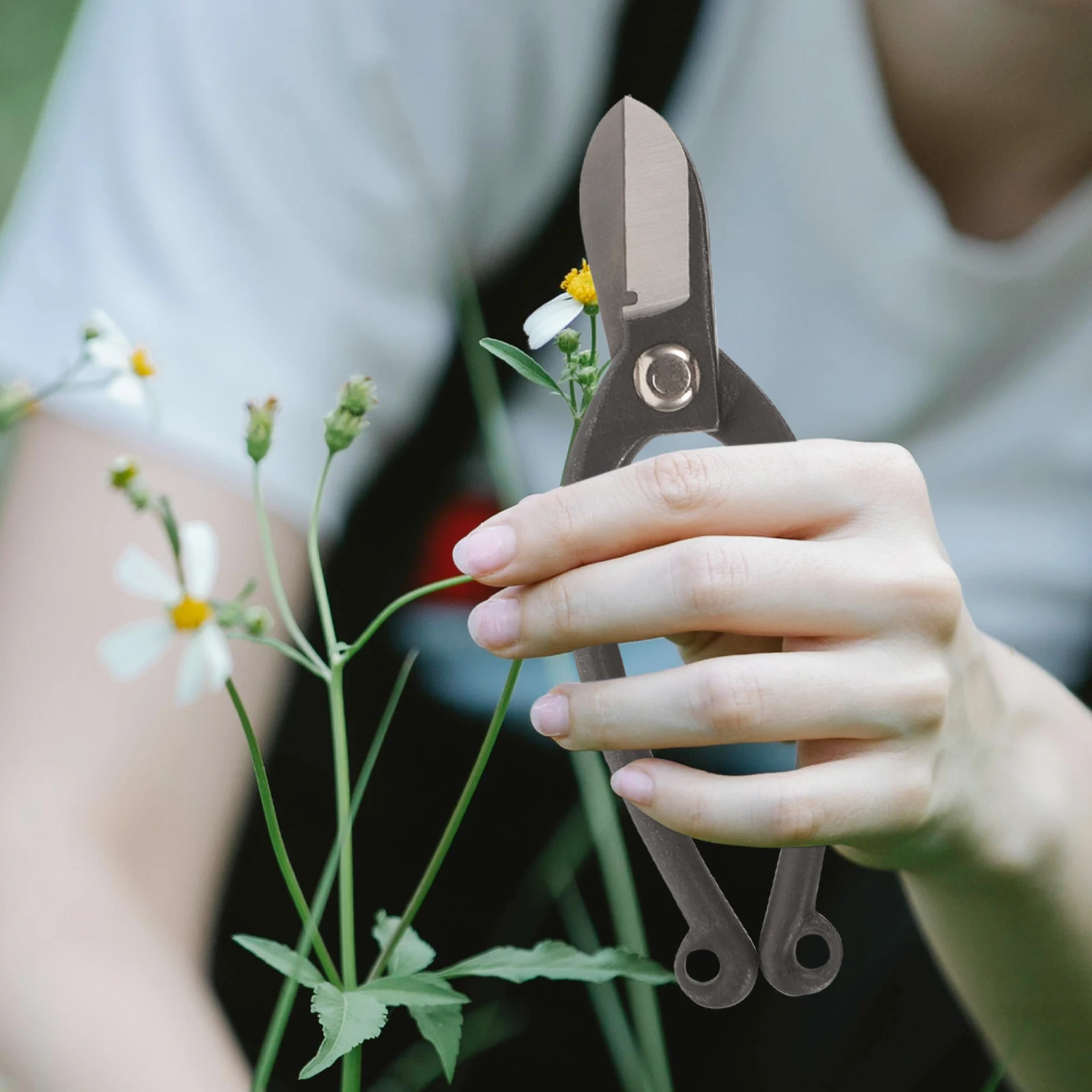

Steel Pruning Shears Flower Scissors Arrangement Branch Garden Trimming Tools Professional Grade Hardened Blades
