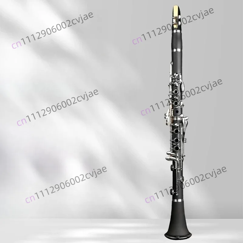Clarinet Instrument Student Adult Beginner Grading Test Playing B-flat Ebony Redwood Clarinet Instrument