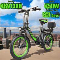 E-Bike 750W Powerful Motor 48V13AH Waterproof Lithium Battery Folding Electric Bicycle 20 Inch Tire Electric Bike