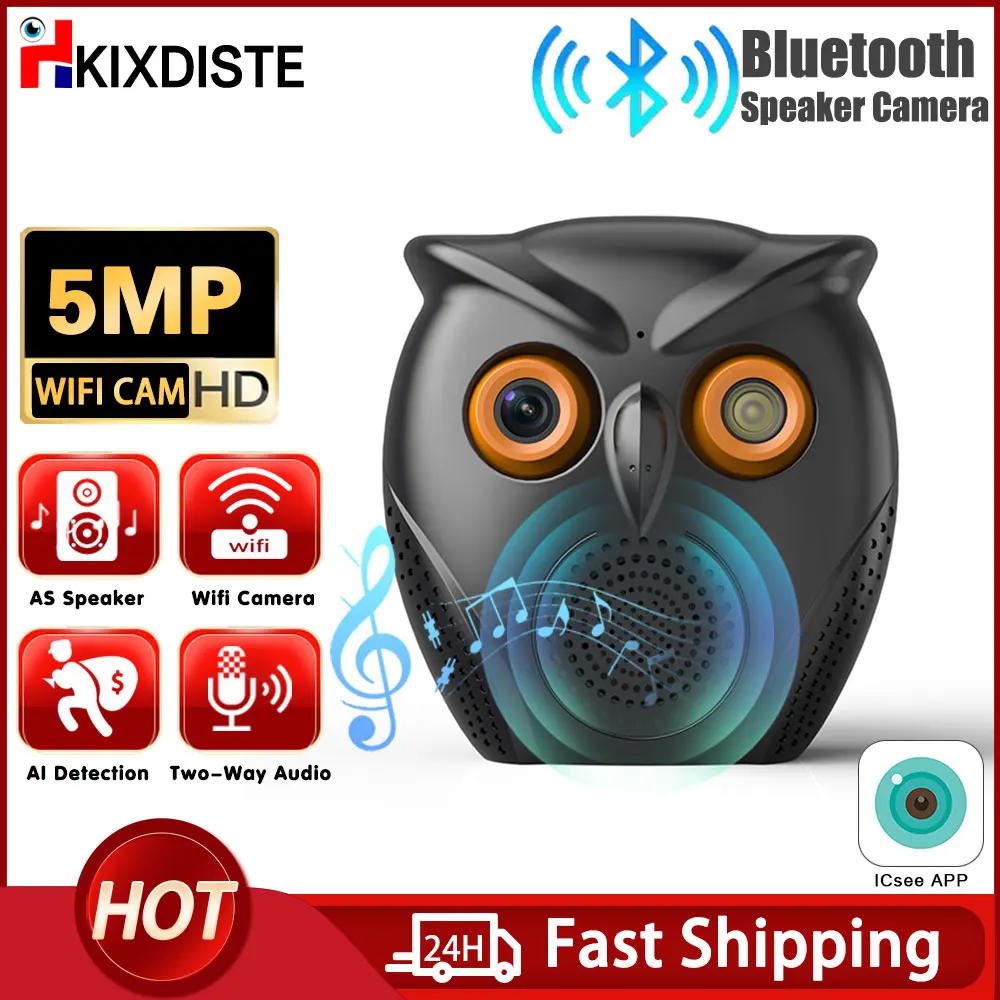 iCSee Smart Wifi Camera With Speaker Wireless CCTV Home 5MP HD Surveillance Camera WiFi Human Detection Baby Monitor Owl Shape