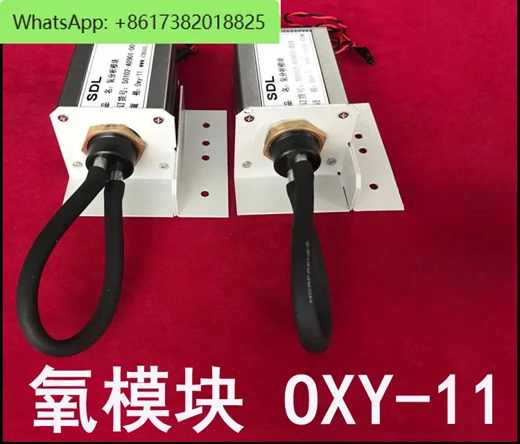 Oxygen module oxygen sensor OXY-11