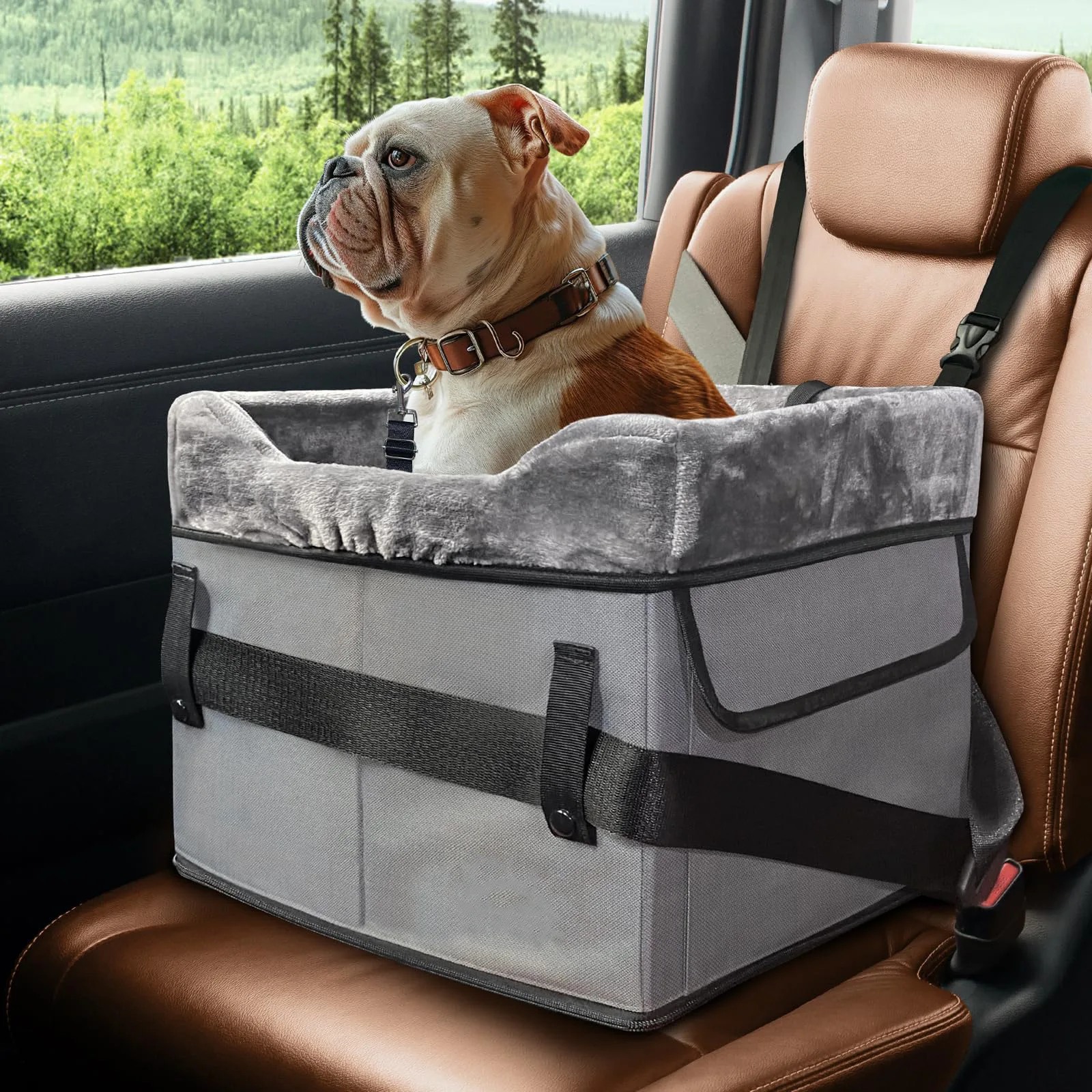Portable Dog Car Seat for Medium Dogs or 2 Small Dogs Pet Booster Seat with 2 Clip-On Safety Leashes and Adjustable Straps