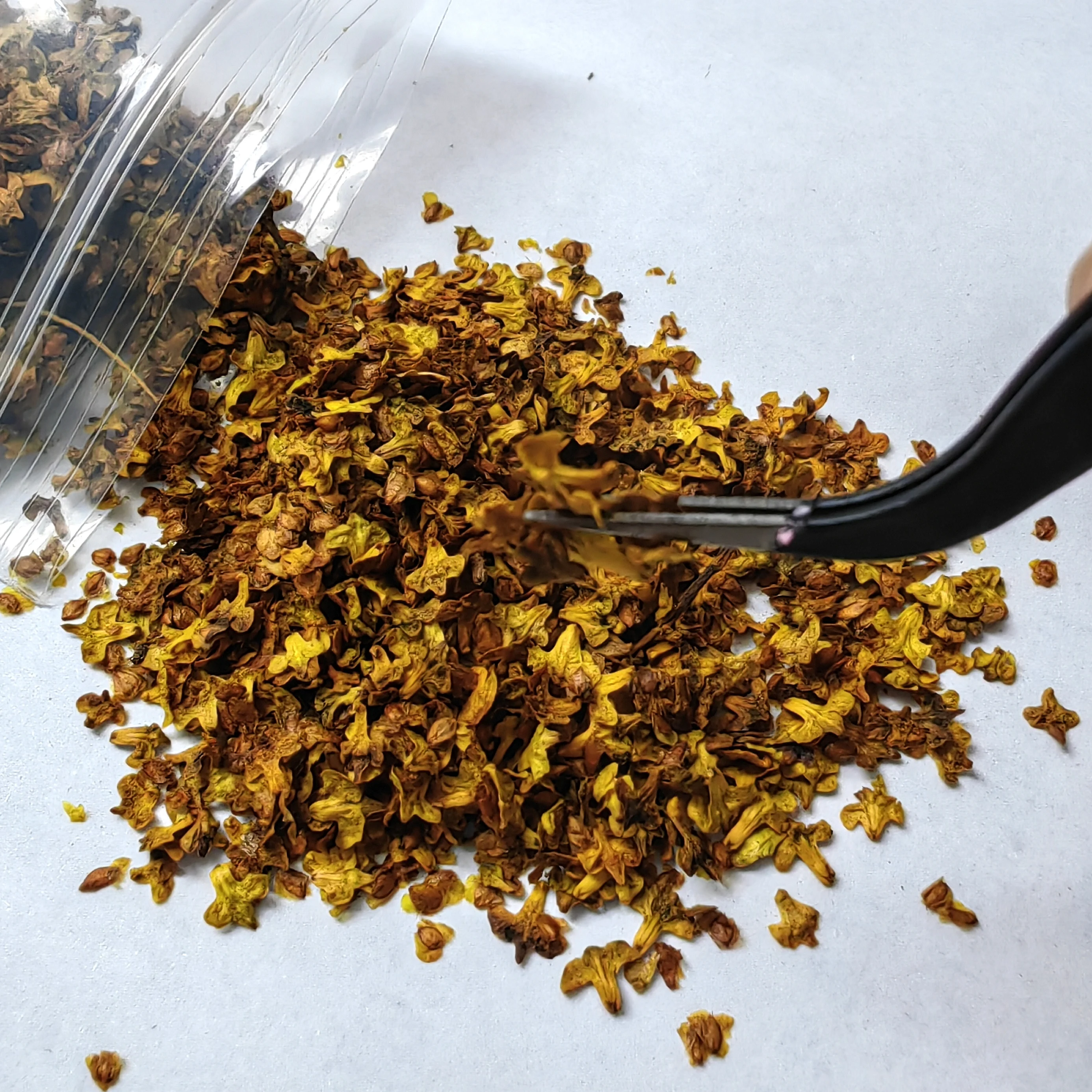 Folhas em miniatura 33ml simulação folhas caídas para modelo diy base ferroviária fada jardim diorama suprimentos acessórios de vila