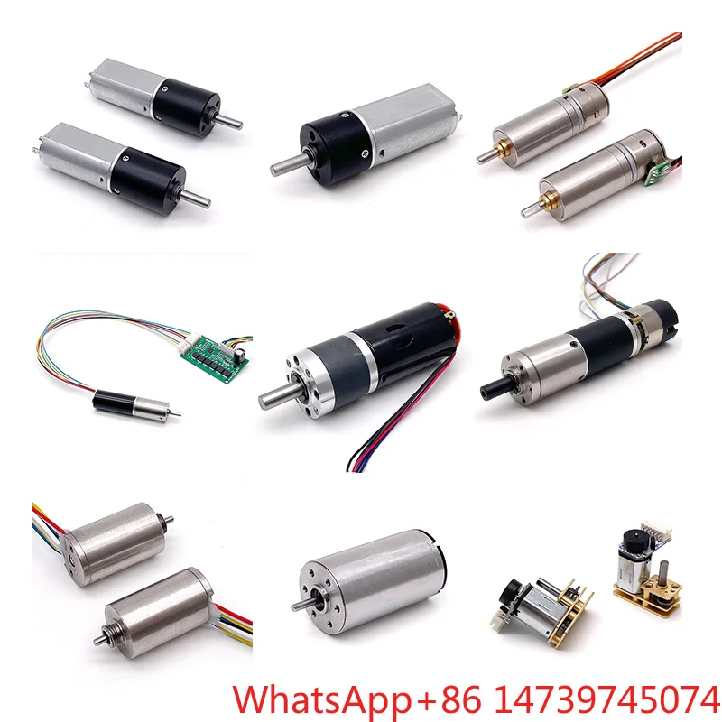 Custom DC Worm Gear Motor 6V 12V 24V Brushless Planetary Gearbox With Encoder For Door Lock RobotSupports Customization
