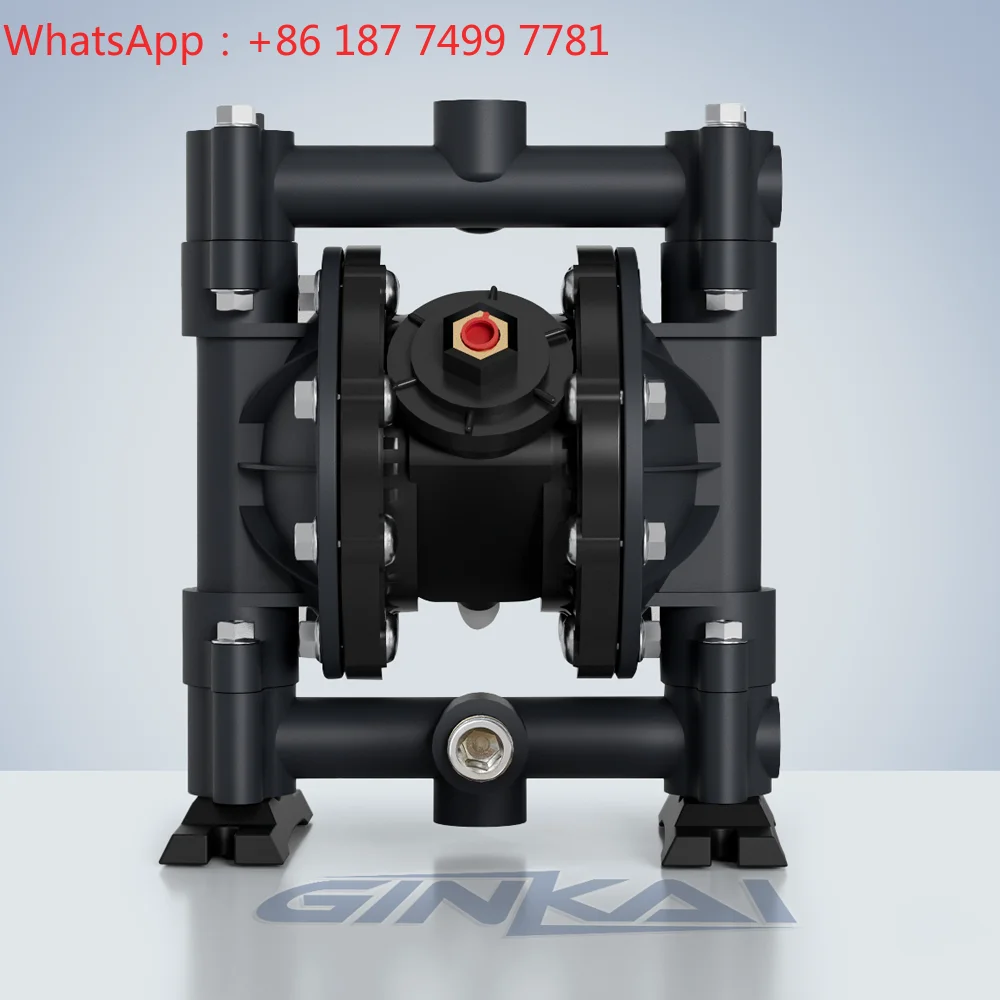 1.5 Inch Custom Pneumatic Diaphragm Pump Leak Detection Device Industrial Chemical AODD Transfer Pump