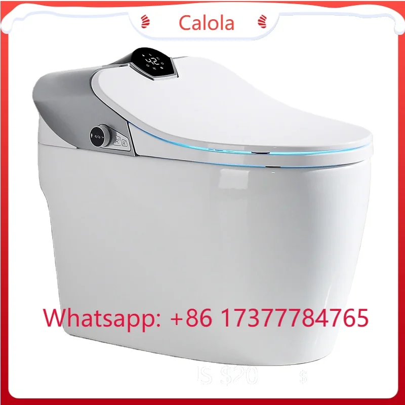 

China Premium Smart Toilet Sunken Tank Design Intelligent Bidet Toilet Seat Auto Flushing Female Wash Function